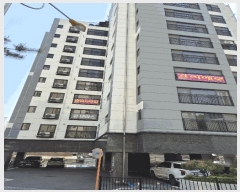  2025Ÿ��1660 ��� ��õ�� �һ籸 ���ȵ� 91-10 ���ȵ� 91-10 �������� �����޷�  ����Ʈ���