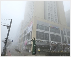  2025Ÿ30088   Ѱ4 535, 7 714ȣ (, ٸǽ)   ǽڰ