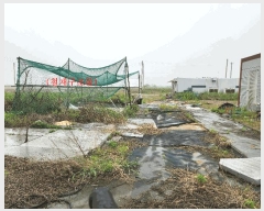  2025Ÿ��33407  ����