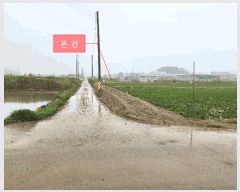  2025Ÿ��33407  ����