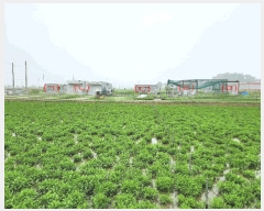  2025Ÿ��33407  ����