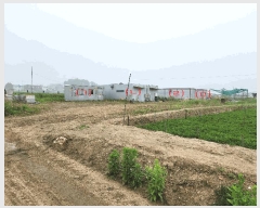  2025Ÿ��33407  ����