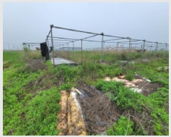  2025Ÿ��33407  ����