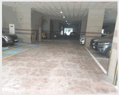  2025Ÿ��33677  ���ǽ��ڰ��