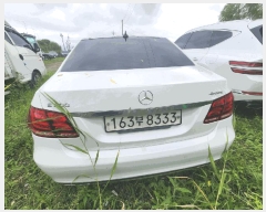  2025Ÿ��33759 ��� ������ ������ ��Ÿ� 209-4 �Ｚ������ 010-3766-5696    �������