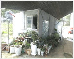  2025Ÿ��33795 ��� ������ �ϼ��� ��ź�� 150-5      ������