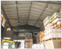  2025Ÿ��933 ��� ������ ����� �󸶸� 250-1      ������