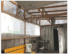  2025Ÿ��933 ��� ������ ����� �󸶸� 250-1      ������