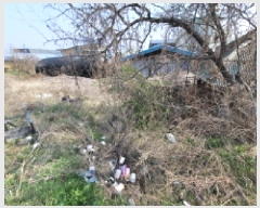  2025Ÿ1370    縮 501      ()