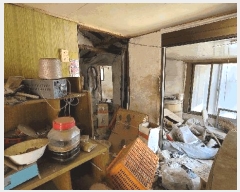  2025Ÿ1370    縮 501      ()