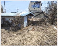  2025Ÿ1370    縮 501      ()