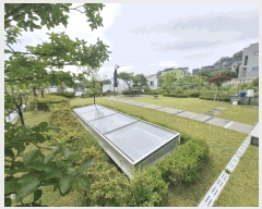  2025Ÿ��1929  ���ð��