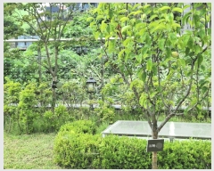  2025Ÿ��1929  ���ð��