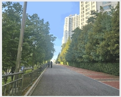  2025Ÿ��3581 ��� ������ ������ 6874-6 ȣ�����������Ѽ��� 302�� 12��1204ȣ    ����Ʈ���