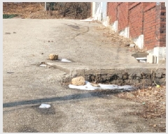  2025Ÿ32077    ϸ 323-87      ð