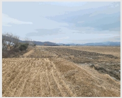  2025Ÿ32768     306-8      ()