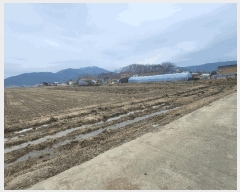  2025Ÿ32768     306-8      ()