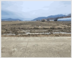  2025Ÿ32768     306-8      ()