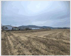  2025Ÿ32768     306-8      ()