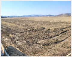  2025Ÿ32768     306-8      ()