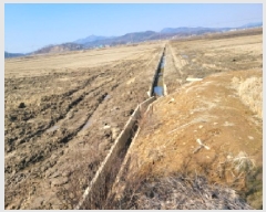  2025Ÿ32768     306-8      ()