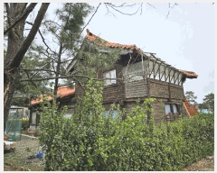  2025Ÿ32983     274-9      ܵ,ð