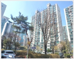  2025Ÿ33059  õ ̱ ߵ 1101 ȭ 1403 6 602ȣ  Ʈ