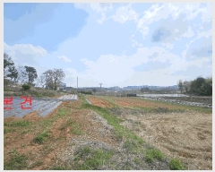  2025Ÿ��33269 ��� ������ ������ �¸� 1056-1      ����(��1)���