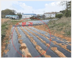  2025Ÿ��33269 ��� ������ ������ �¸� 1056-1      ����(��1)���