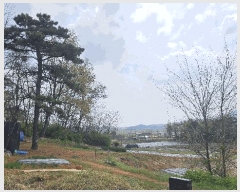  2025Ÿ��33269 ��� ������ ������ �¸� 1056-1      ����(��1)���