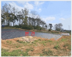  2025Ÿ��33269 ��� ������ ������ �¸� 1056-1      ����(��1)���