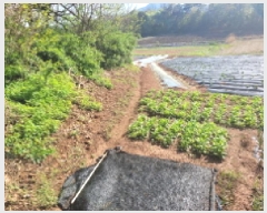  2025Ÿ��33269 ��� ������ ������ �¸� 1056-1      ����(��1)���