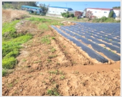  2025Ÿ��33269 ��� ������ ������ �¸� 1056-1      ����(��1)���