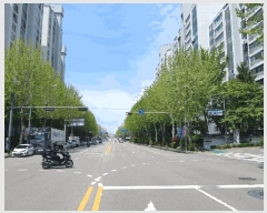  2025Ÿ��33363  ����Ʈ���