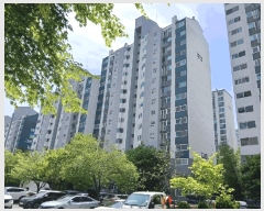  2025Ÿ��33363  ����Ʈ���