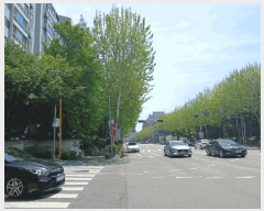  2025Ÿ��33363  ����Ʈ���