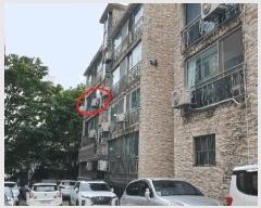  2025Ÿ��33411  �ټ���(����)���