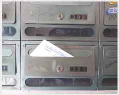  2025Ÿ��33411  �ټ���(����)���