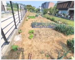  2025Ÿ��33545 ��� ������ ������ �п 258-107      ���ð��