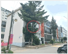  2025Ÿ��33859 ��� ��õ�� �һ籸 �һ纻�� 55-8 ��ž���Ʈ 2�� 2�� 204ȣ  ����Ʈ���