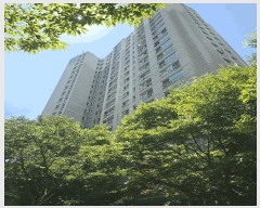  2025Ÿ��33906  ����Ʈ���