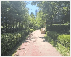  2025Ÿ��33906  ����Ʈ���