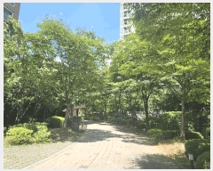  2025Ÿ��33906  ����Ʈ���