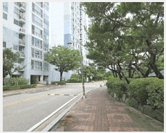  2025Ÿ��33929  ����Ʈ���