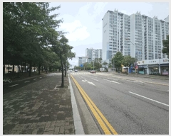  2025Ÿ��33929  ����Ʈ���