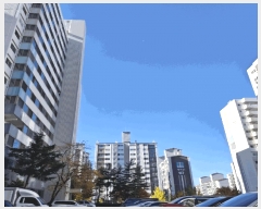  2025Ÿ��34884 ��� ��õ�� �һ籸 �һ纻�� 400-8 113�� 2��205ȣ    ����Ʈ���