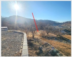  2025Ÿ155     197-1      ()