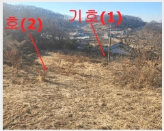  2025Ÿ155     197-1      ()