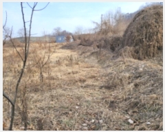  2025Ÿ155     197-1      ()