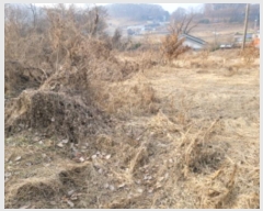  2025Ÿ155     197-1      ()